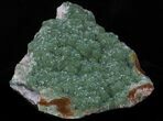 Bright Green Botryoidal Fluorite - Huge Plate #33921-3